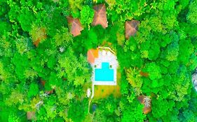 Raindrops Resorts Wayanad