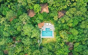 Raindrops Resorts Wayanad